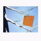 Recent Photography ART BOOK American and European Contemporary Photos Sherman Sekula Struth
