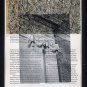 Sheltering Cold Ashes ORIGINAL ART Surrealism Found Object Photography Jackson Pollock St. Louis
