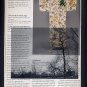 ORIGINAL ART Found Object Surrealism Photography West End Forest Park Japanese KIMONO
