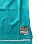 Mitchell & Ness NBA Bibby 10 Turquoise Vancouver Grizzlies Tank ( S )