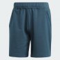 Adidas IN7925 Yoga Training Shorts Arctic Night / Carbon ( XL )