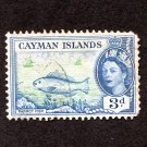 Cayman Islands Postage Stamp 1955 Scott# KY 141 Used 3 d Rainbow Parrotfish (Scarus guacamaia) B