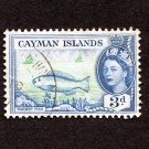Cayman Islands Postage Stamp 1955 Scott# KY 141 Used 3 d Rainbow Parrotfish (Scarus guacamaia) A