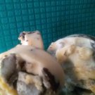 The Ugly Soap
