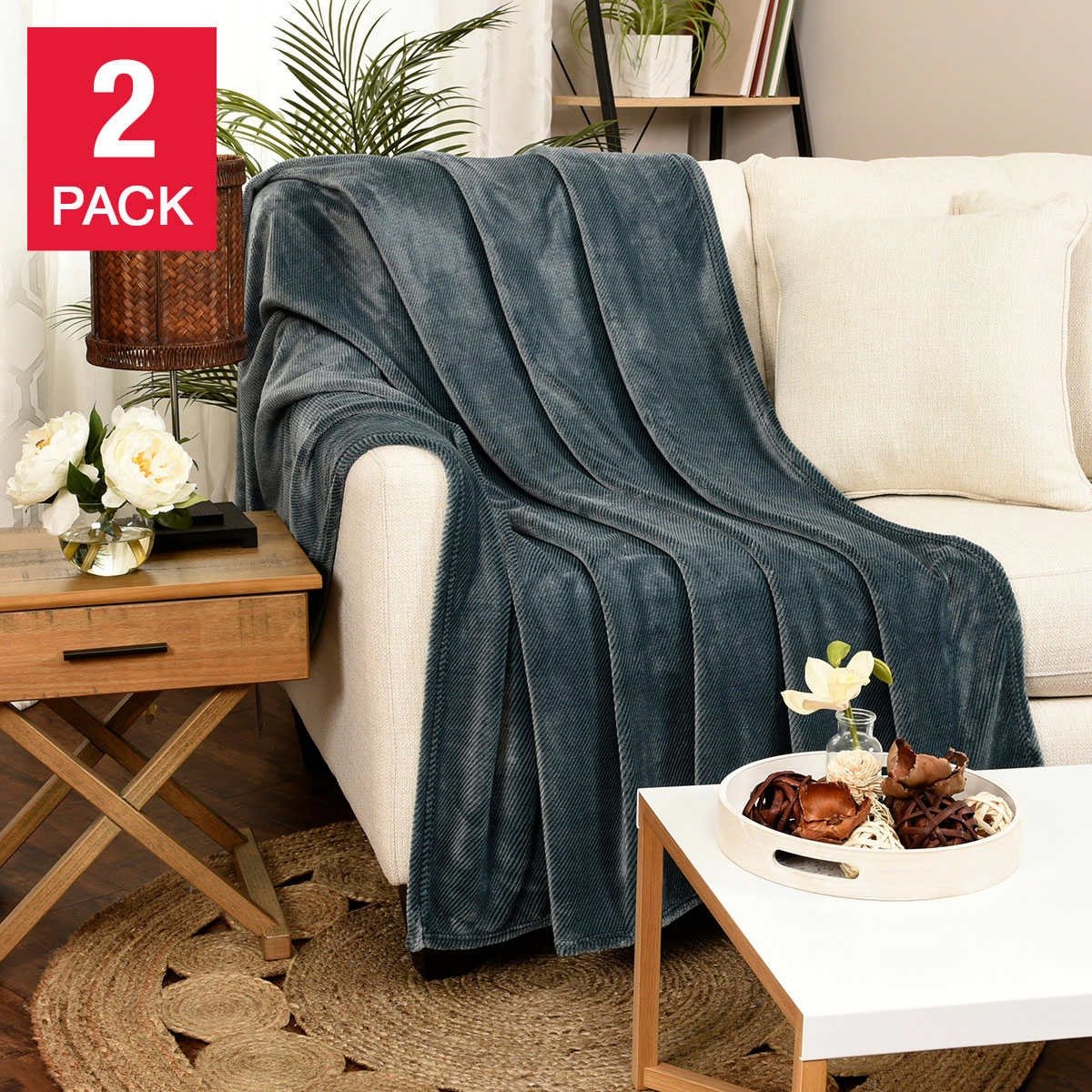 Life Comfort Eco Plush Throw, 2Pack, 60x70 Inch Polyester Throw