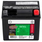 Interstate Batteries Powersport AGM Motorcycle Battery FAYTX5L