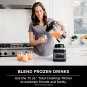 Ninja Professional Plus Blender DUO with Auto-iQ