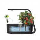 AeroGarden Sprout Black with Seed Starting System Bundle