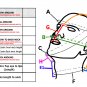 Mens Leather Hat face mask & Collar Handmade Biker Men hat Black Aviator Cap