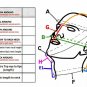 Blindfold Leather Hood Bondage mask BDSM Head Restraint slave harness Face mask