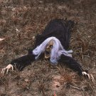 Halloween Décor Groundbreaker Zombie,