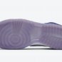 Unisex Dunk High Varsity Purple DC5382-100