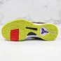 Men's Kobe 5 Protro Chaos CD4991-100