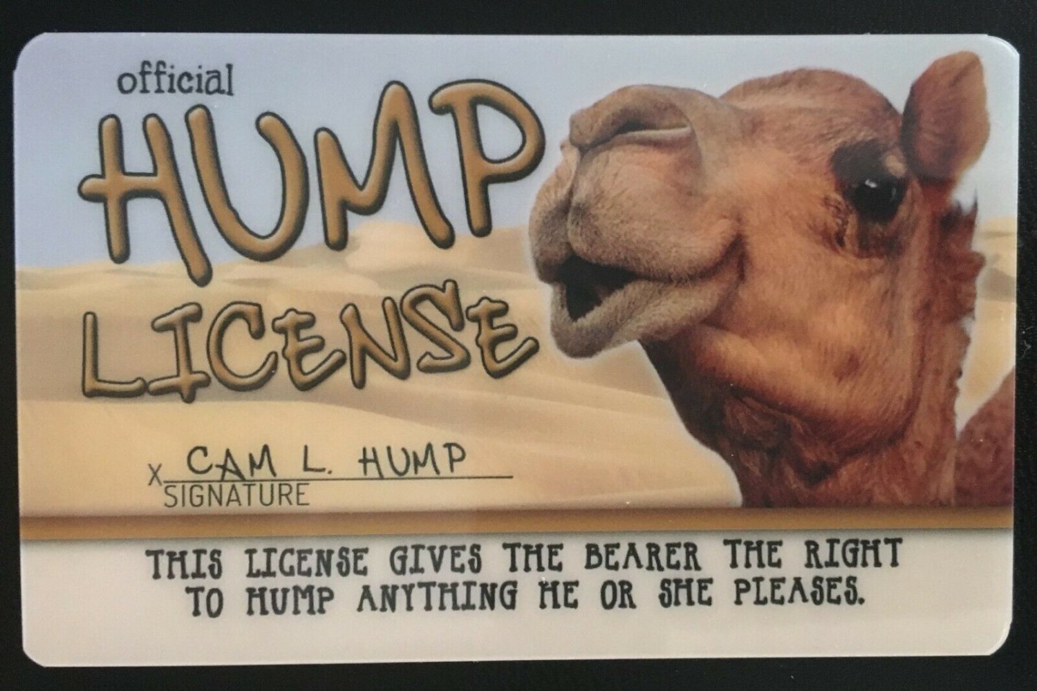 HUMP DAY Camel MAGNET Wednesday Drivers Hump License Whoop Mike Mike