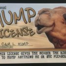 HUMP DAY Camel MAGNET Wednesday Drivers Hump License Whoop Mike Mike