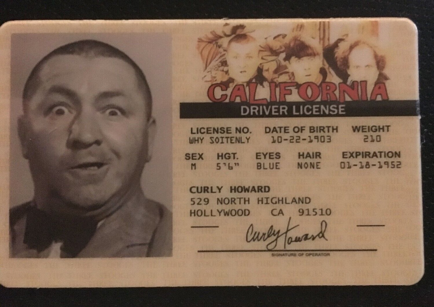Curly Howard MAGNET The Three Stooges novelty collectors card Larry Moe Shemp