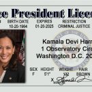 Kamala Harris Vice President Novelty VP card Presidential Joe Biden