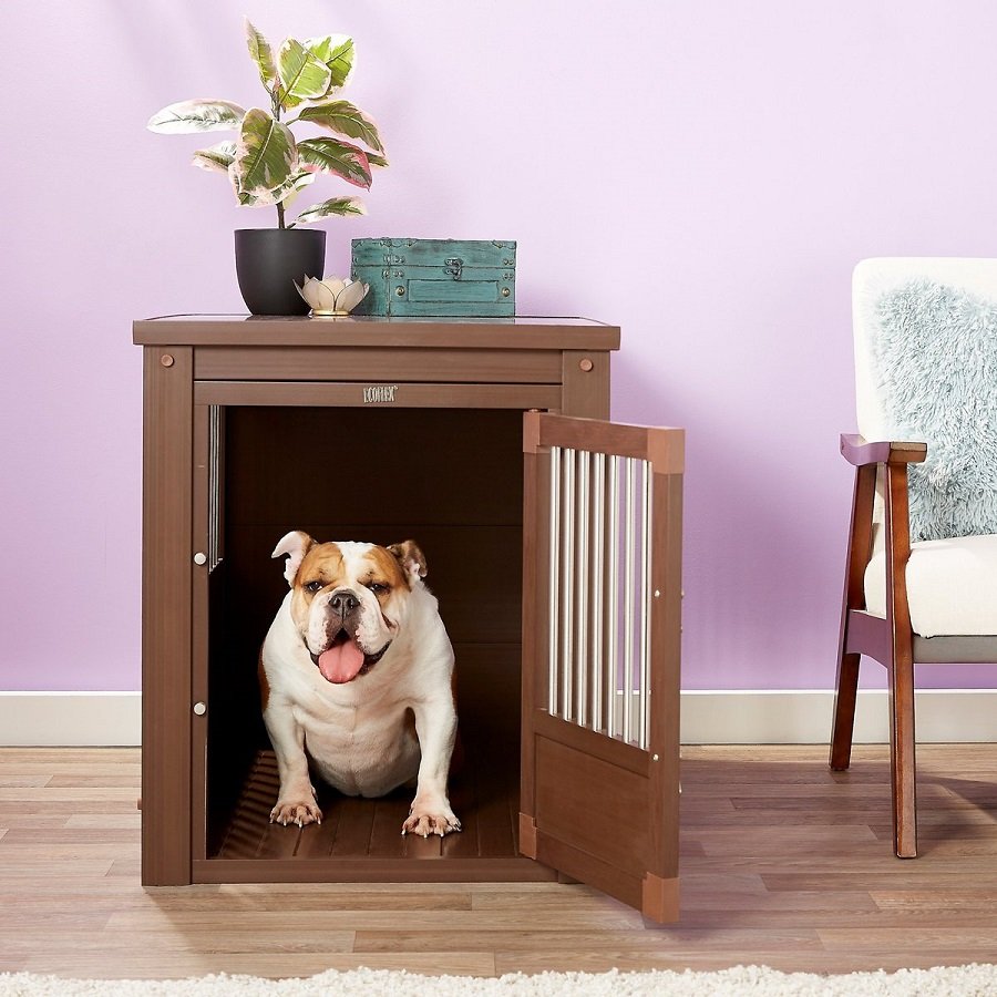 New Age Pet ecoFLEX Single Door Furniture Style Dog Crate & End Table