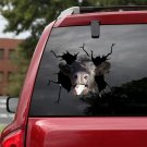 Angus Cow Crack Decal (8 x 12 Inches), Decal for Cattle Lover, Farmhouse Cow Decal For Car