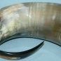 Designed Viking Drinking Horn Cup-Mug Chalice for Beer Wine Mead OX Horn Mug
