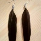 New Black Goose Feather Earrings