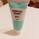 mint acrylic paint 22 ml new