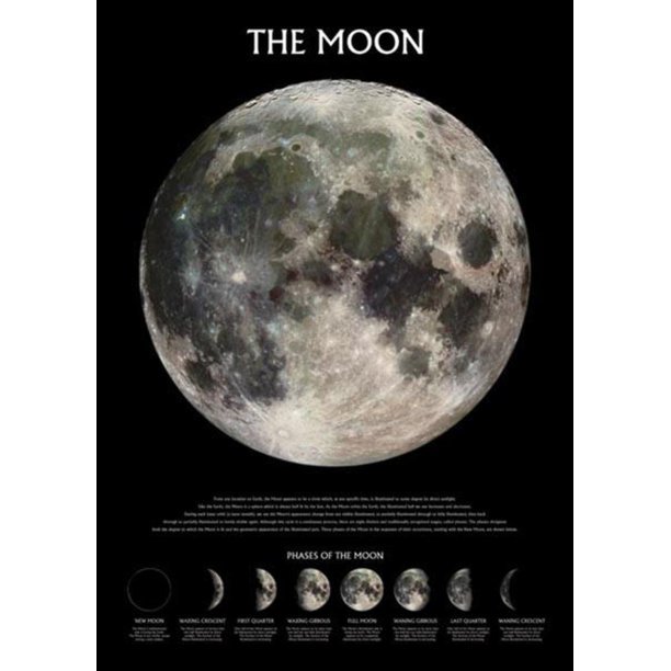 Phases of the Moon Space Lunar NASA Educational Print Poster 24x36