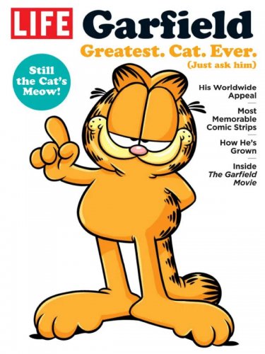 Life - Garfield