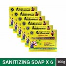 Kesh Nikhar (100 gm)Natural Body Sanitizing Soap Skin Care( Pack of 6 )