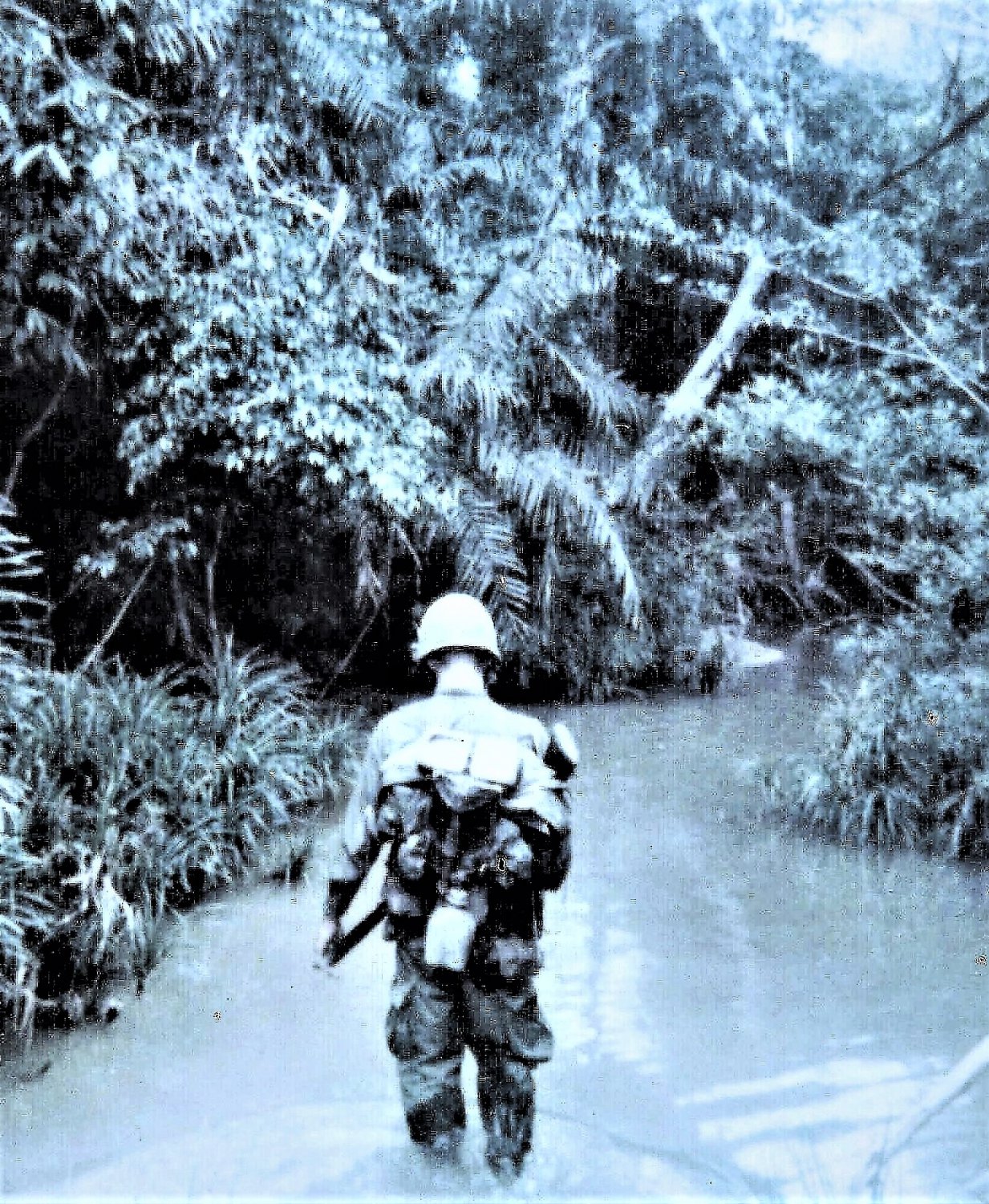 Vietnam = Jungle Patrol - USMC - 1967 = 11" by 14" Color Photo