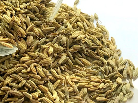 Fennel seeds, sweet fennel seed, saunf,  Foeniculum vulgare, &Oslash;&uml;&Oslash;&deg;&Ugrave;�&Oslash;&plusmn; &Oslash;&sect;&Ugrave;�&Ugrave;�&Ugrave;�&Ugrave;�&Ugrave;�