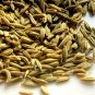 Fennel seeds, sweet fennel seed, saunf, Foeniculum vulgare, Ø¨Ø°ÙØ± اÙÙÙÙÙ