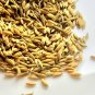 Fennel seeds, sweet fennel seed, saunf, Foeniculum vulgare, Ø¨Ø°ÙØ± اÙÙÙÙÙ