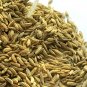 Fennel seeds, sweet fennel seed, saunf, Foeniculum vulgare, Ø¨Ø°ÙØ± اÙÙÙÙÙ