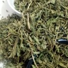 Stevia Leaf,Stevia Rebaudiana Herbs from Sanaa Zesty