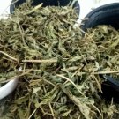 Stevia Leaf,Stevia Rebaudiana Herbs from Sanaa Zesty