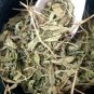 Stevia Leaf,Stevia Rebaudiana Herbs from Sanaa Zesty