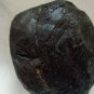 Rasaut raswanti gum Berberis Aristata root gum