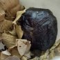 Rasaut  raswanti gum  Berberis Aristata root gum