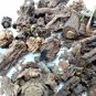 Sarsaparilla Root, Anantmul, Hemidesmus Indicus, Ornata, Glabra, Regelii, Febrifuga
