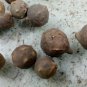 Oak Gall Manjakani Quercus Infectoria,Natural Dye Mordant,Oak Gall Extract,Eiche Gallen ,Oak Apples
