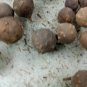Oak Gall Manjakani Quercus Infectoria,Natural Dye Mordant,Oak Gall Extract,Eiche Gallen ,Oak Apples