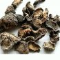 INDIAN GOOSEBERRY - Dried AMLA  Fruit ,Whole Phyllanthus Emblica
