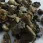 Triphala whole from Sanaa Zesty