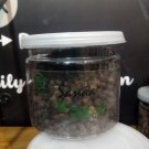 Black Pepper , Black peppercorn Piper Nigrum