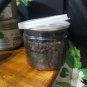 Black Pepper , Black peppercorn Piper Nigrum