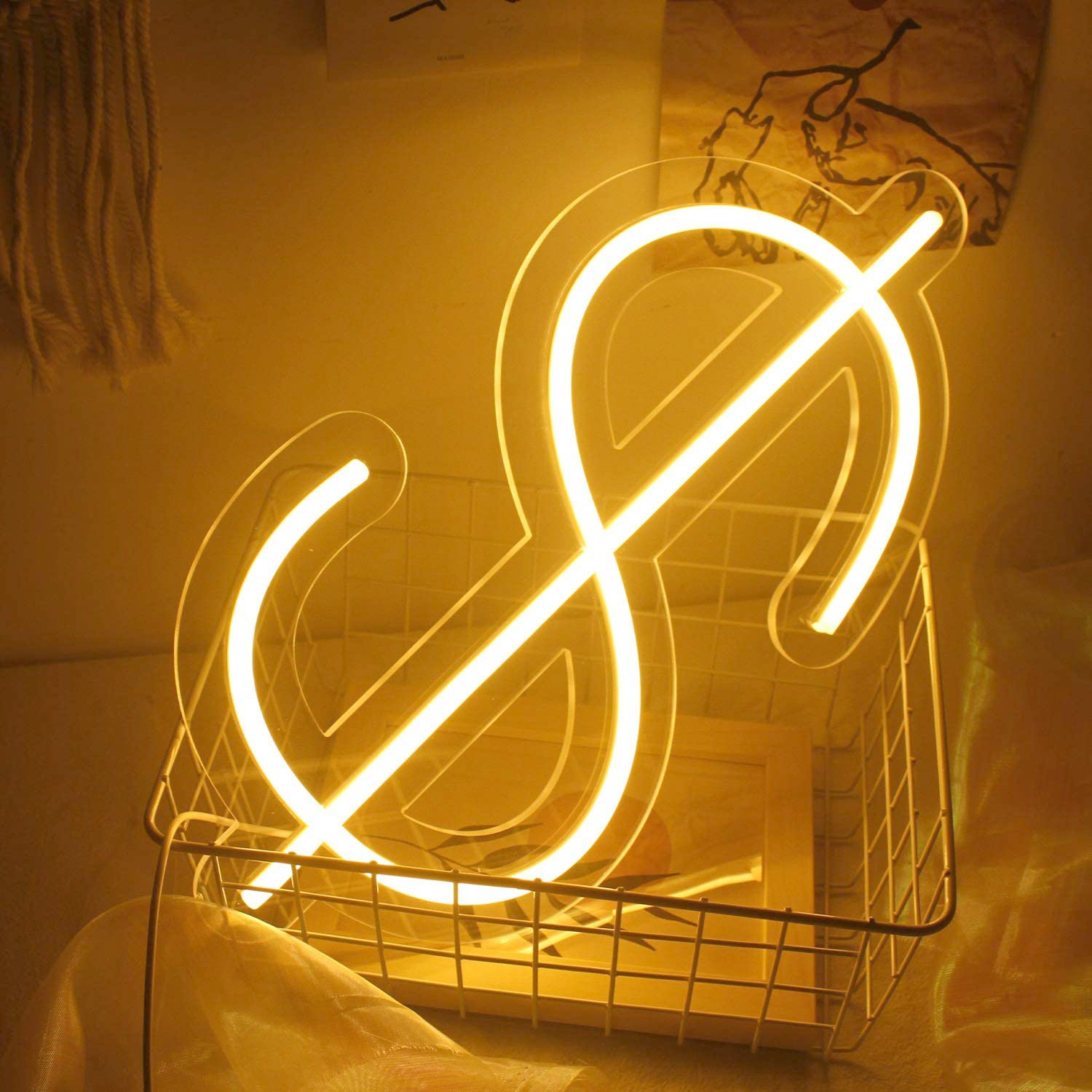 Warm White $ LED Neon Sign, White Dollar Sign Wall Light
