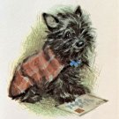 Scottish Terrier Adorable Scottie Dog Puppy Tartan Coat Blank Greeting Note Card Scottish Terrier Adorable Scottie Dog Puppy Tartan Coat Blank Greeting Note Card