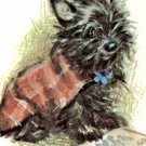 Terrier Scottie Dog Yorkshire in a Tartan Coat Hasty Note Blank Card