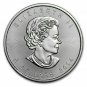CANADA MAPLE LEAF $5 Dollar 2014 SILVER 1 oz coin (.9999) NEW IN paper Sleeve